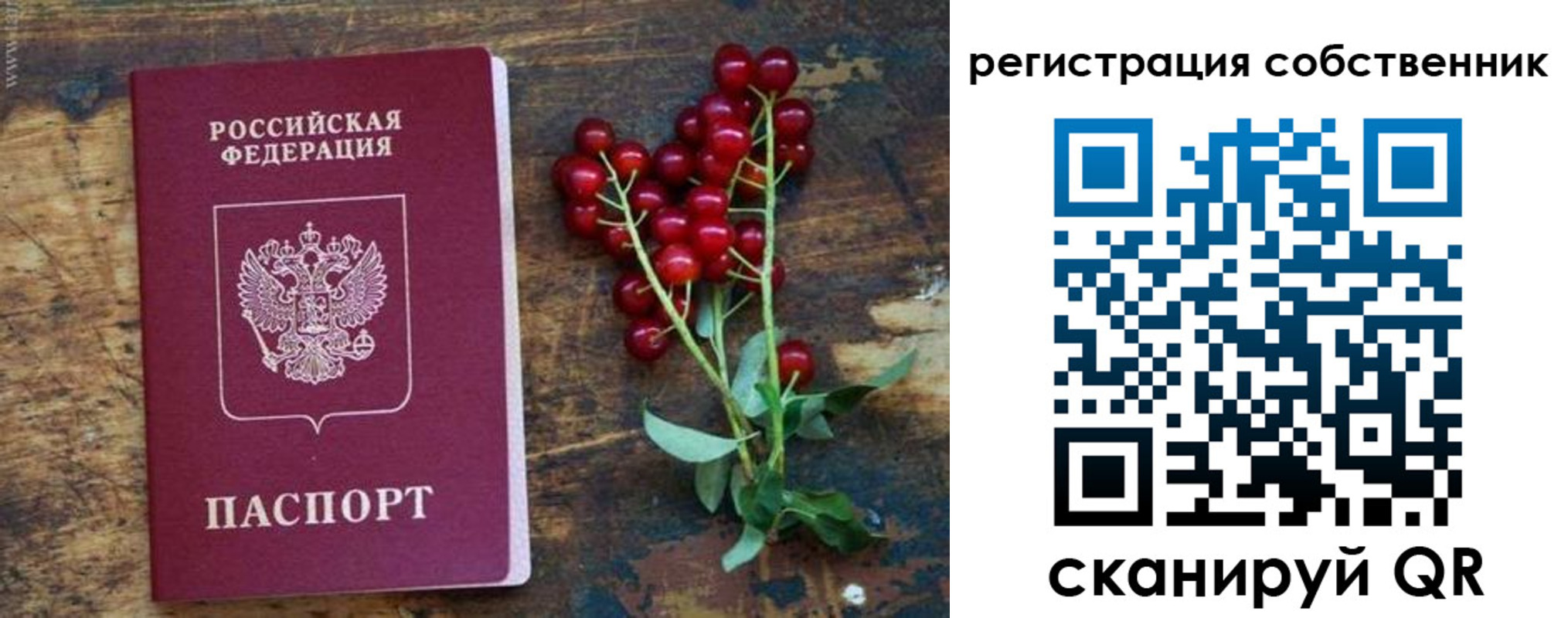 регистрация для дет. сада в Альметьевске